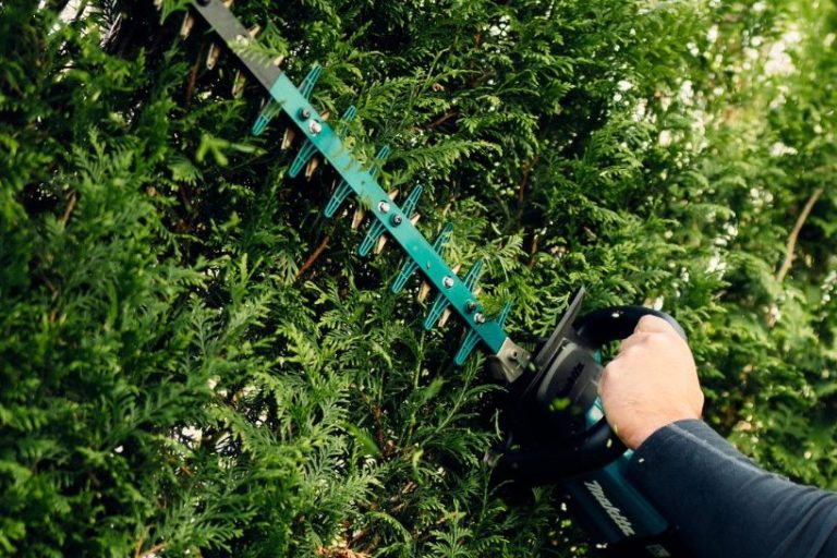 Heckenschneiden, Formschnitt, Rückschnitt, Hausmeisterservice, Gartenservice